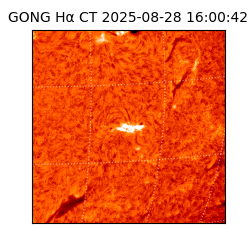 gong - 2025-08-28T16:00:42