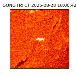 gong - 2025-08-28T18:00:42