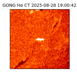 gong - 2025-08-28T19:00:42