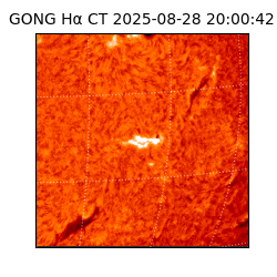 gong - 2025-08-28T20:00:42