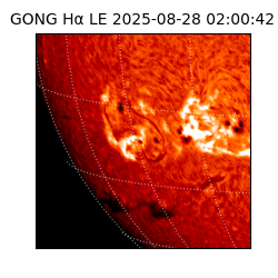 gong - 2025-08-28T02:00:42