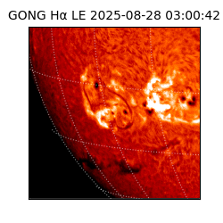 gong - 2025-08-28T03:00:42