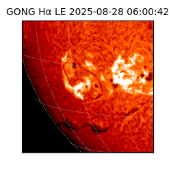 gong - 2025-08-28T06:00:42