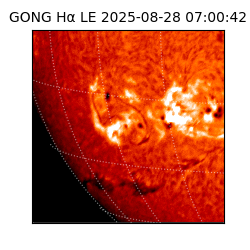gong - 2025-08-28T07:00:42