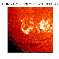 gong - 2025-08-28T19:00:42