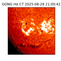 gong - 2025-08-28T21:00:42