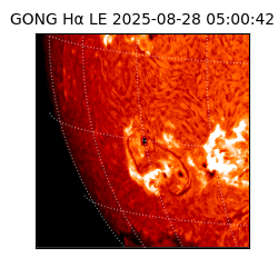gong - 2025-08-28T05:00:42