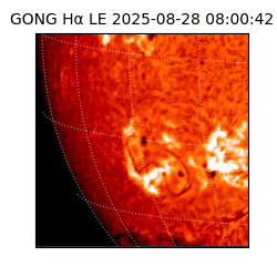 gong - 2025-08-28T08:00:42
