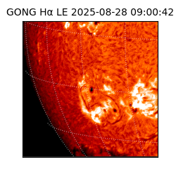 gong - 2025-08-28T09:00:42