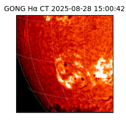 gong - 2025-08-28T15:00:42