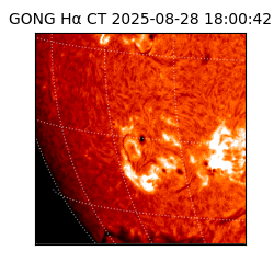 gong - 2025-08-28T18:00:42
