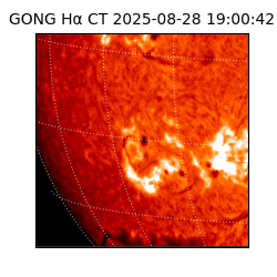 gong - 2025-08-28T19:00:42