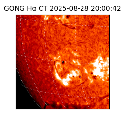 gong - 2025-08-28T20:00:42