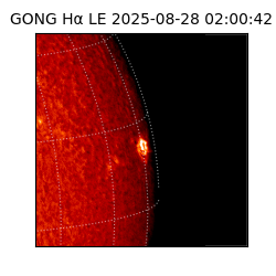 gong - 2025-08-28T02:00:42