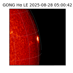 gong - 2025-08-28T05:00:42