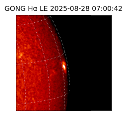 gong - 2025-08-28T07:00:42