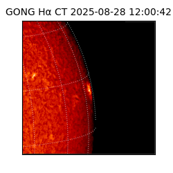 gong - 2025-08-28T12:00:42