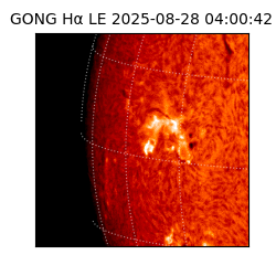 gong - 2025-08-28T04:00:42