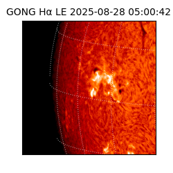 gong - 2025-08-28T05:00:42