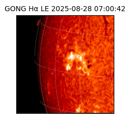 gong - 2025-08-28T07:00:42