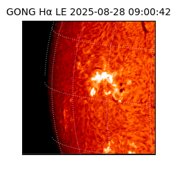 gong - 2025-08-28T09:00:42