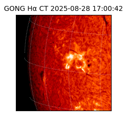 gong - 2025-08-28T17:00:42
