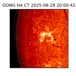 gong - 2025-08-28T20:00:42