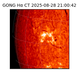 gong - 2025-08-28T21:00:42