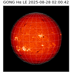 gong - 2025-08-28T02:00:42