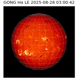 gong - 2025-08-28T03:00:42