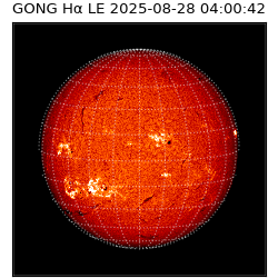 gong - 2025-08-28T04:00:42