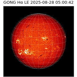 gong - 2025-08-28T05:00:42