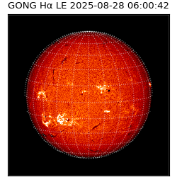 gong - 2025-08-28T06:00:42