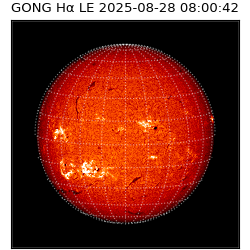 gong - 2025-08-28T08:00:42