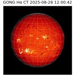 gong - 2025-08-28T12:00:42