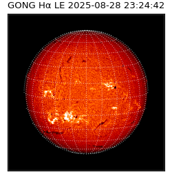 gong - 2025-08-28T23:24:42