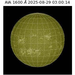 saia - 2025-08-29T03:00:14.126000