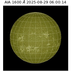 saia - 2025-08-29T06:00:14.126000
