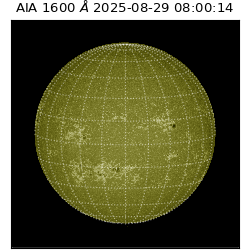 saia - 2025-08-29T08:00:14.126000