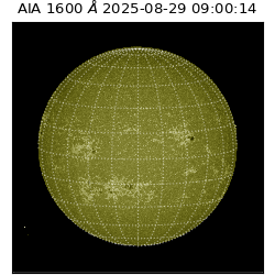 saia - 2025-08-29T09:00:14.126000
