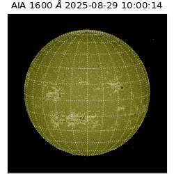 saia - 2025-08-29T10:00:14.126000