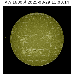 saia - 2025-08-29T11:00:14.125000