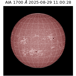 saia - 2025-08-29T11:00:28.717000