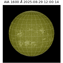 saia - 2025-08-29T12:00:14.125000