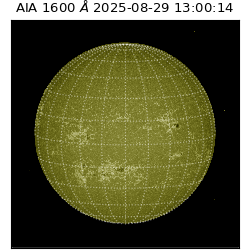 saia - 2025-08-29T13:00:14.125000
