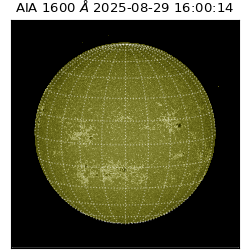 saia - 2025-08-29T16:00:14.126000