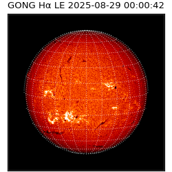 gong - 2025-08-29T00:00:42