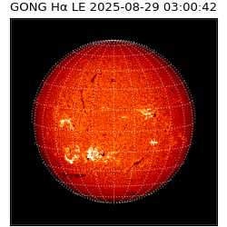 gong - 2025-08-29T03:00:42