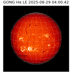gong - 2025-08-29T04:00:42