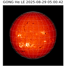 gong - 2025-08-29T05:00:42